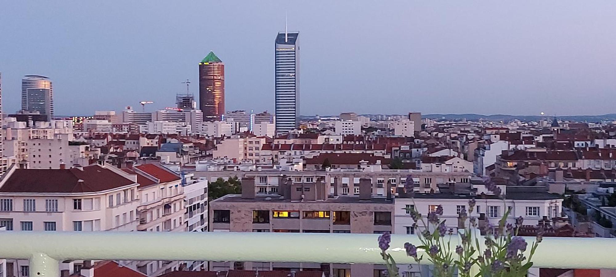 Plein Sud Terrasse Climatisation Garage Netflix Appartement Lyon Kamer foto