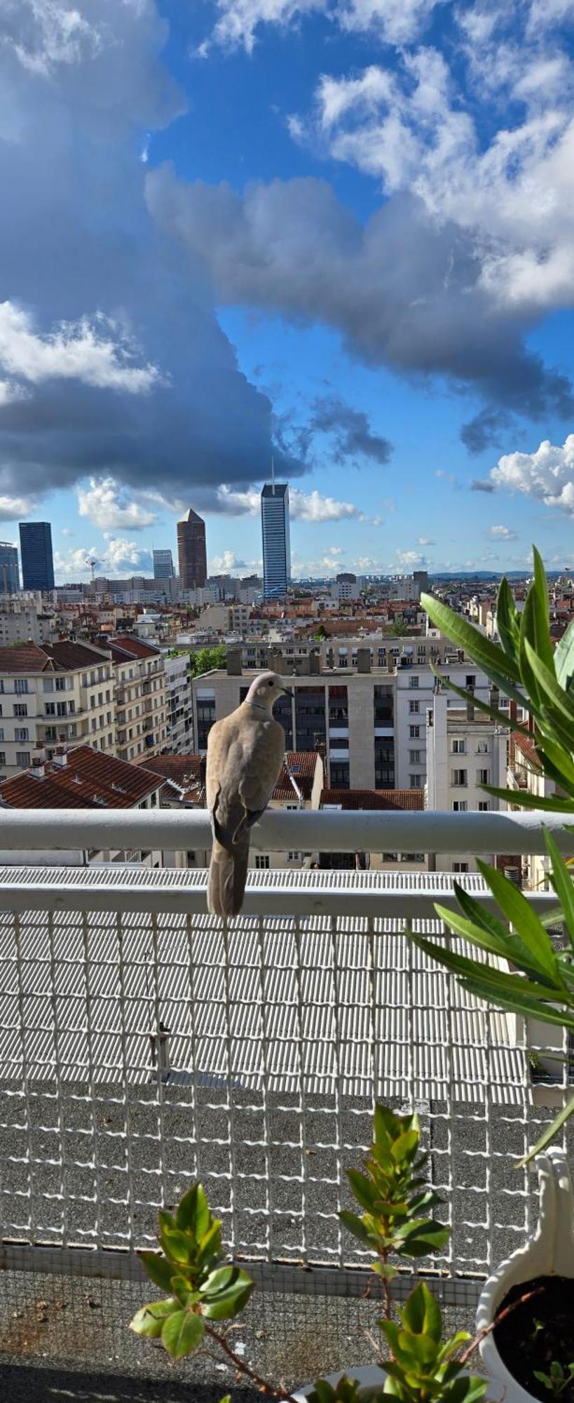 Plein Sud Terrasse Climatisation Garage Netflix Appartement Lyon Buitenkant foto