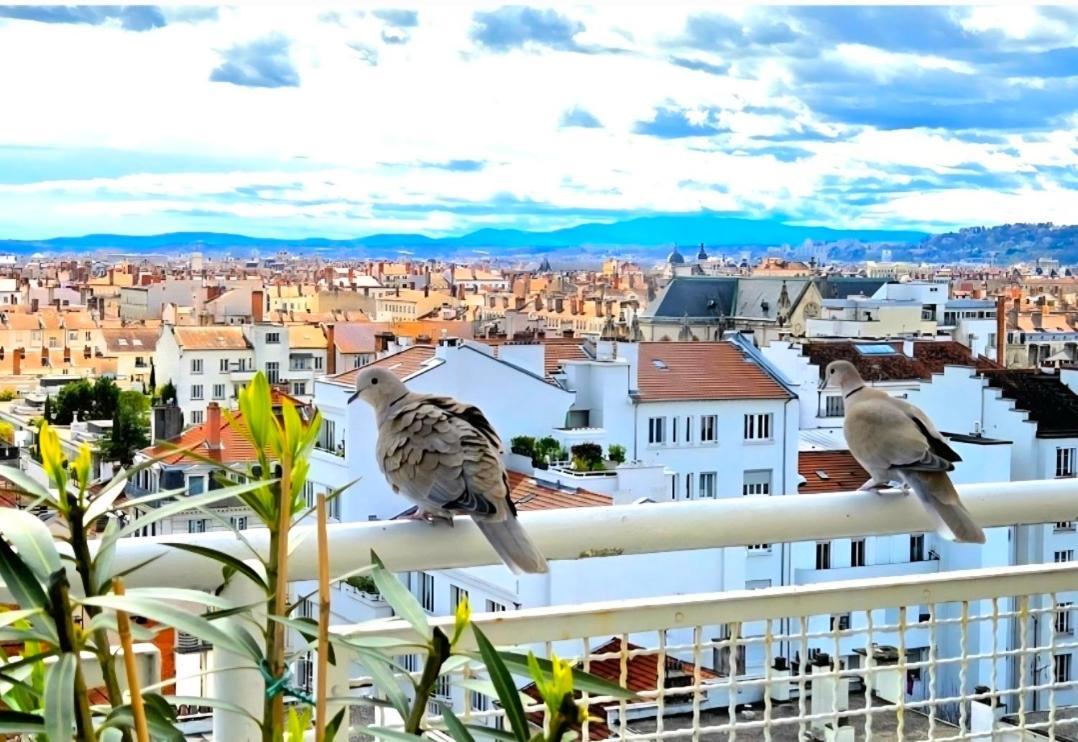Plein Sud Terrasse Climatisation Garage Netflix Appartement Lyon Kamer foto